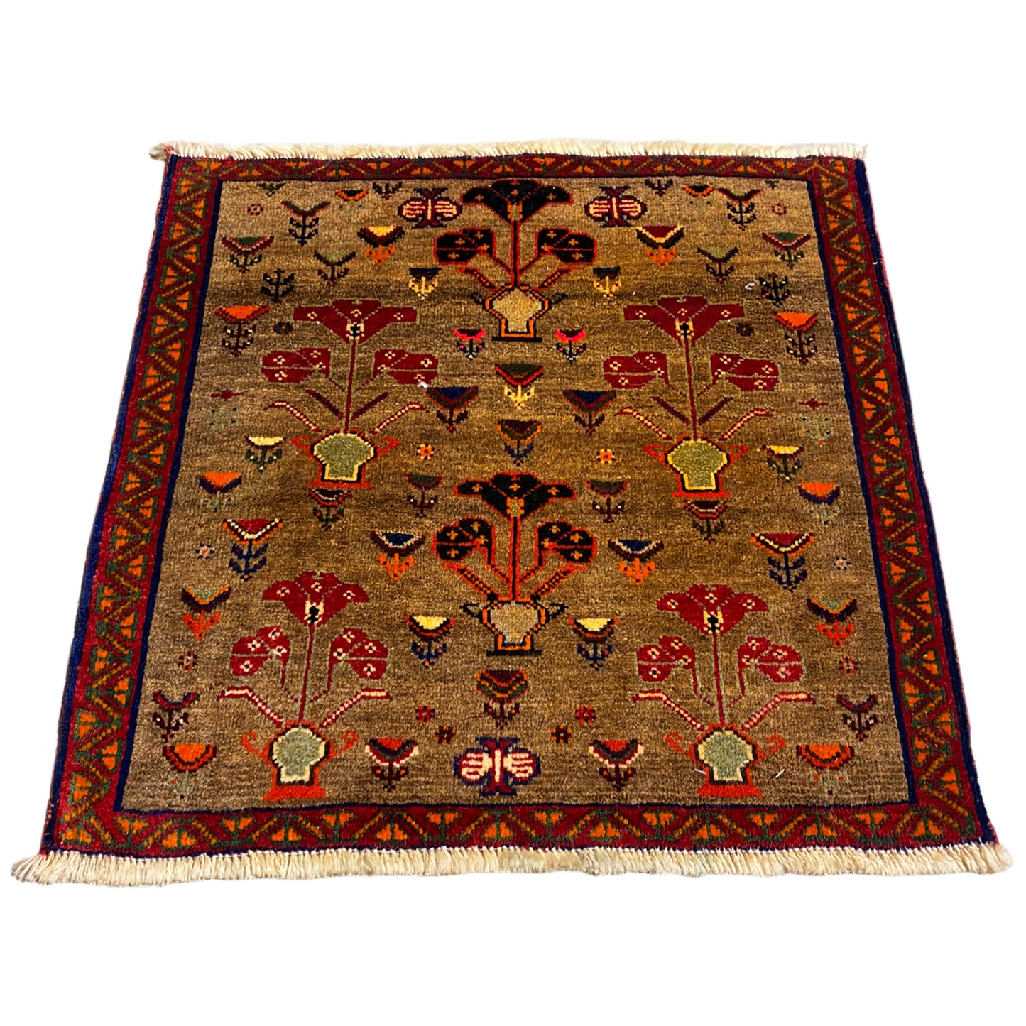 Tapete Poshti - 63x61 cm