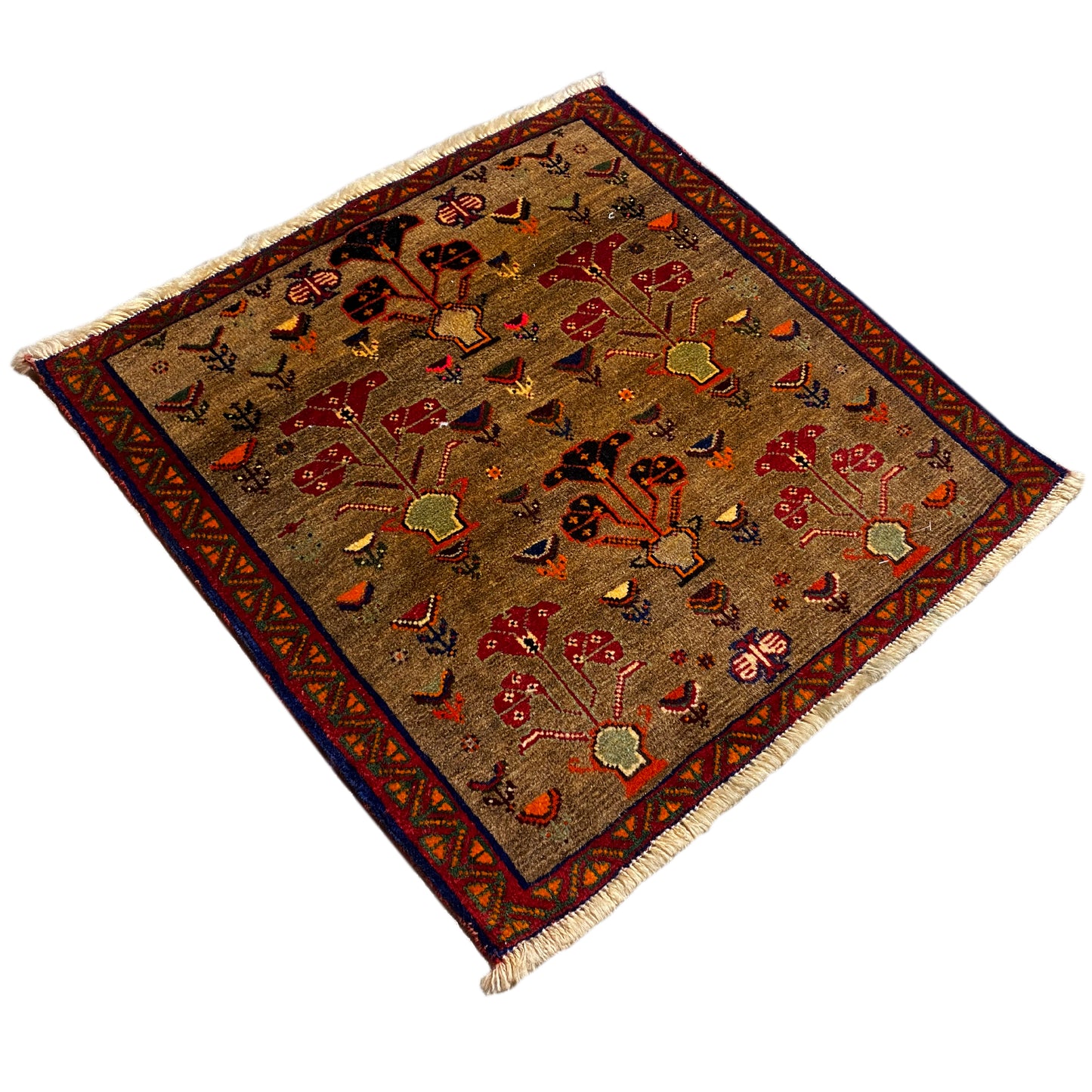Tapete Poshti - 63x61 cm