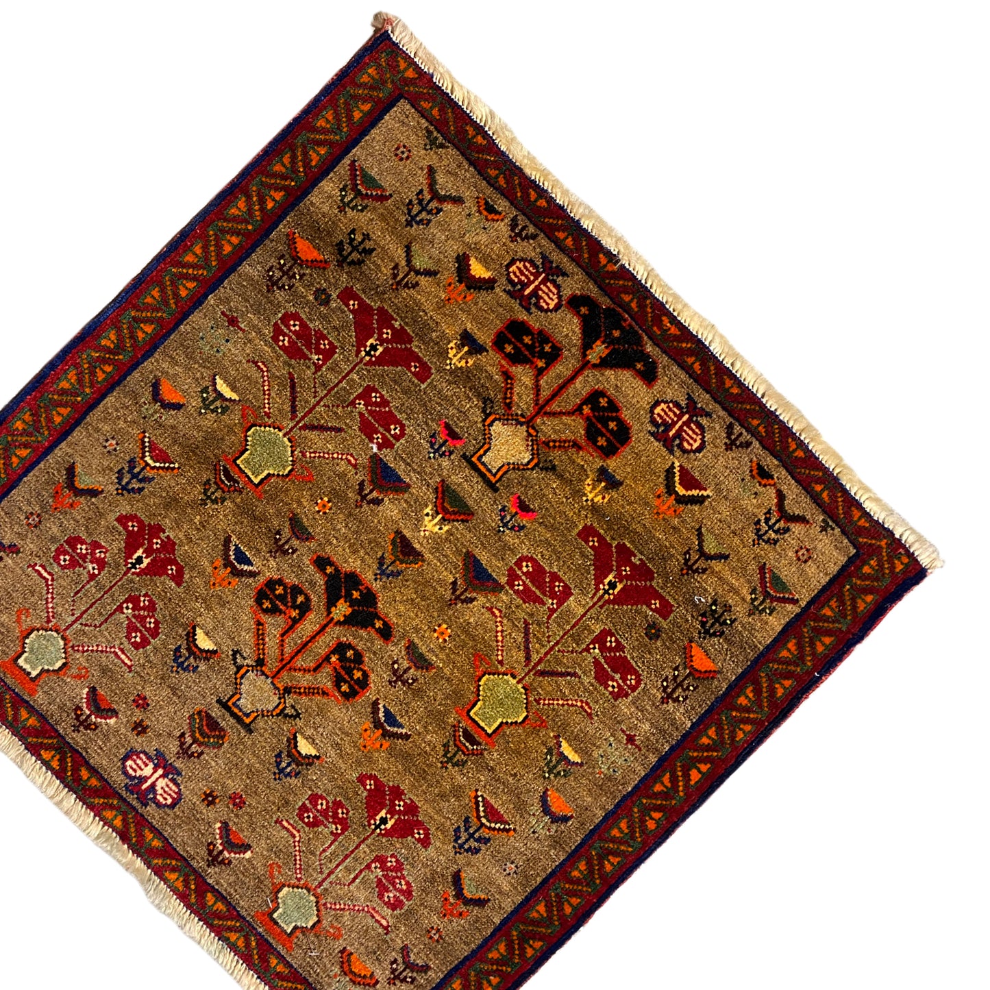 Tapete Poshti - 63x61 cm