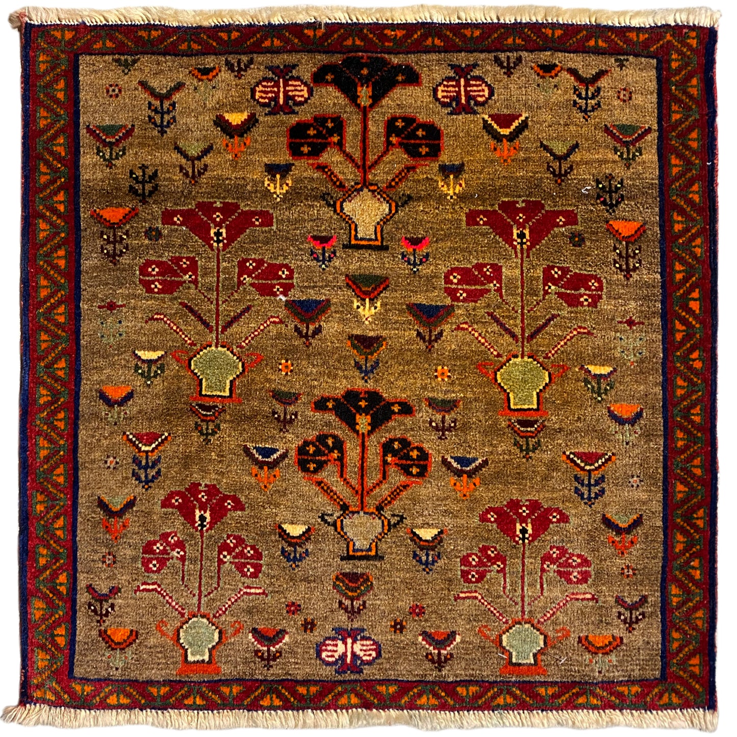 Tapete Poshti - 63x61 cm