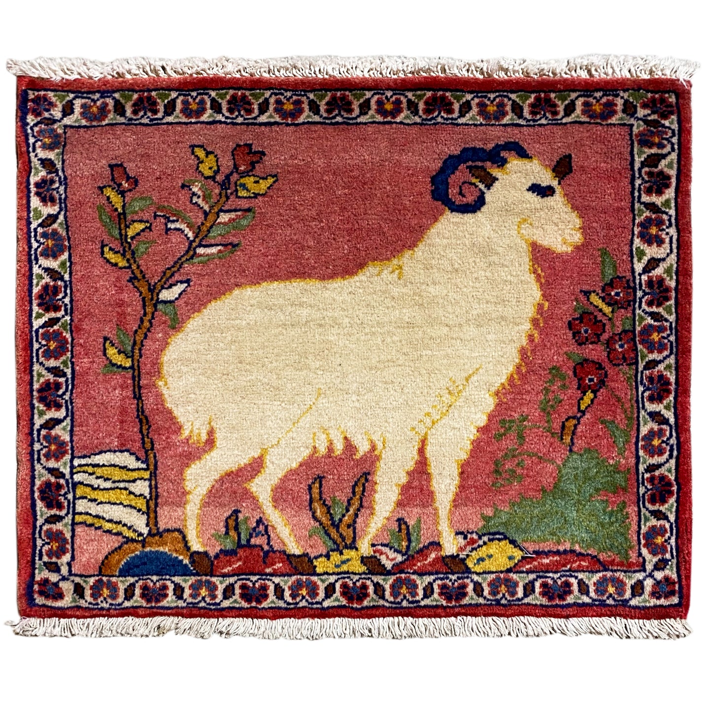 Tapete Poshti - 54x48 cm