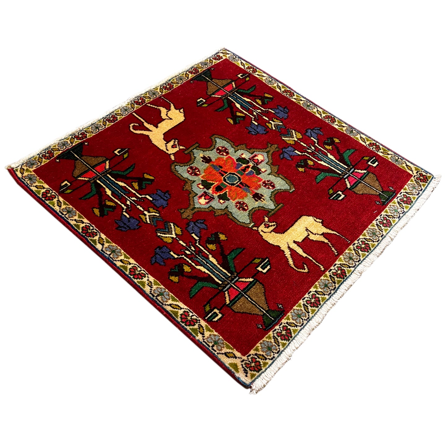 Tapete Poshti - 67x64 cm